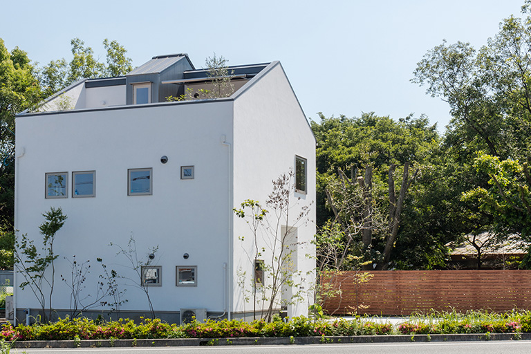 casa skip