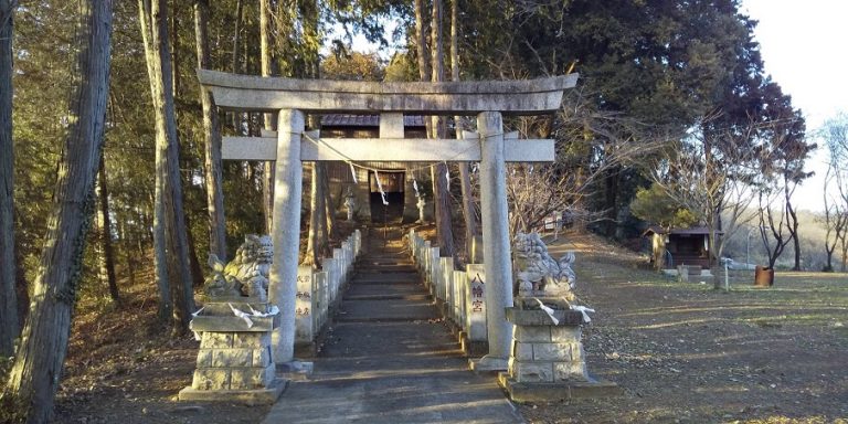 陽気がよくなり花粉がきになりますね