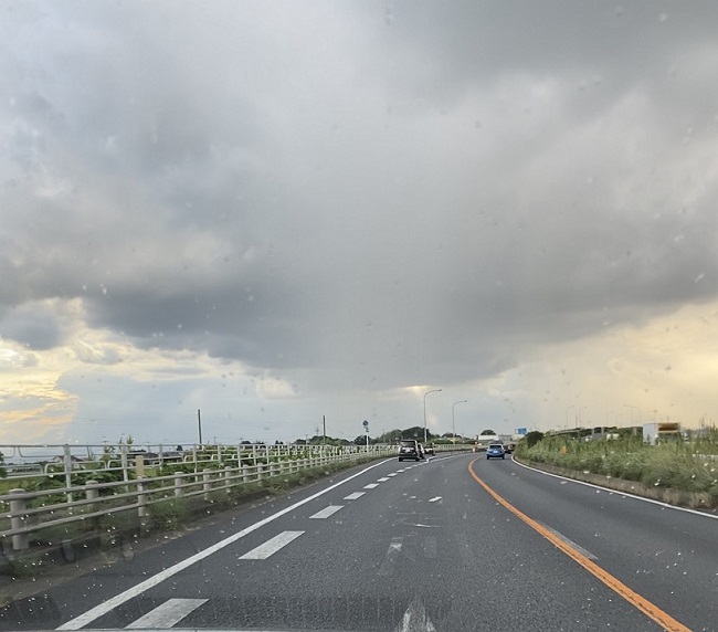 明日は、雨のようですね( ﾟДﾟ)