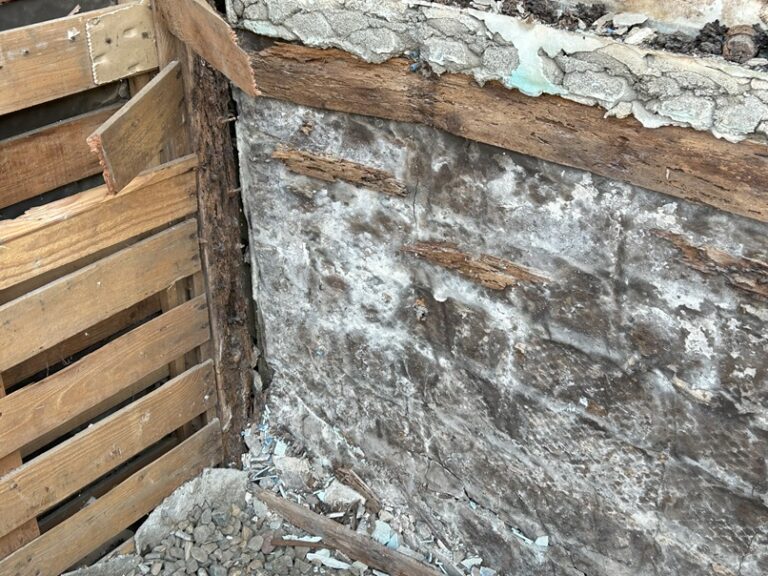 古い家でタイル張りのお風呂は、ほとんどシロアリの被害です。
