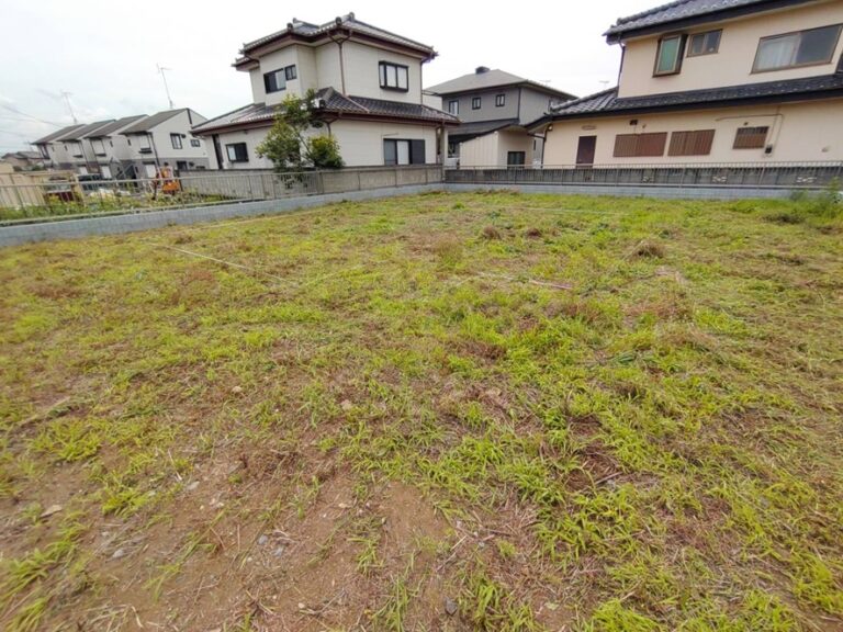 一日雨になってしまいました。