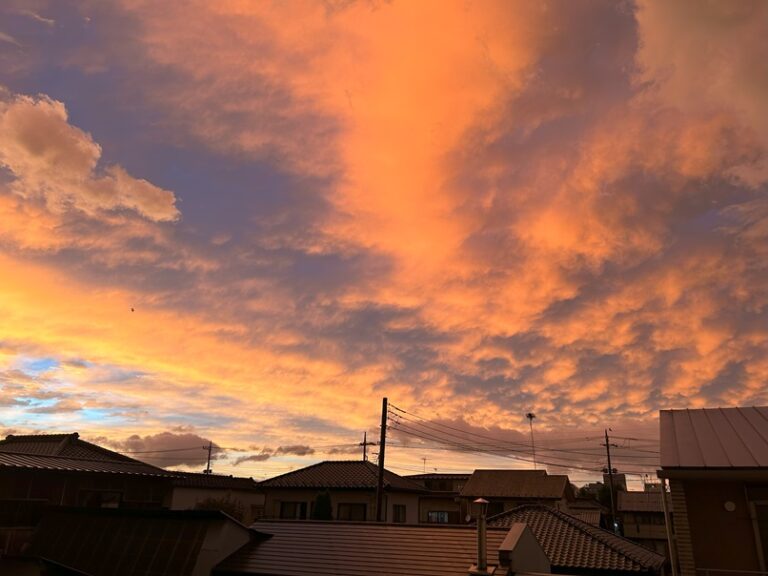 昨日の夕焼けは、驚きました