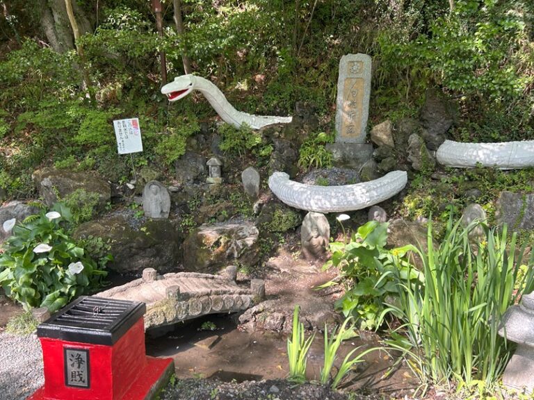 連休も明日までです。（休み中白蛇にあってきました）