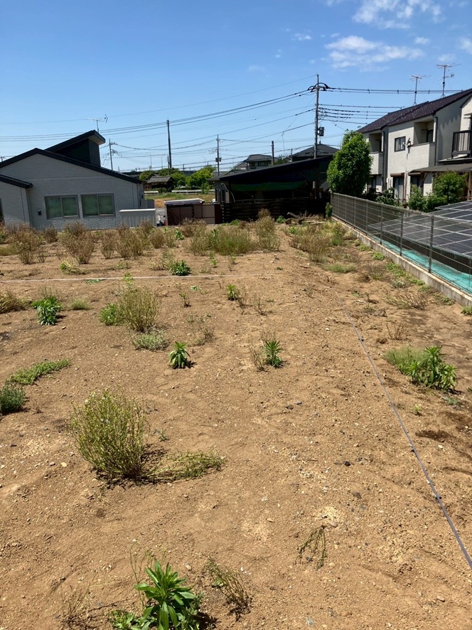 今日も良いお天気でした。（地縄張りを行いました）