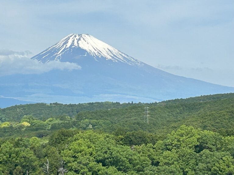 浜松研修に行ってきました　（帰りは、少し寄り道・・）
