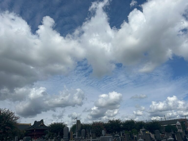 お彼岸の墓参り行ってきました。