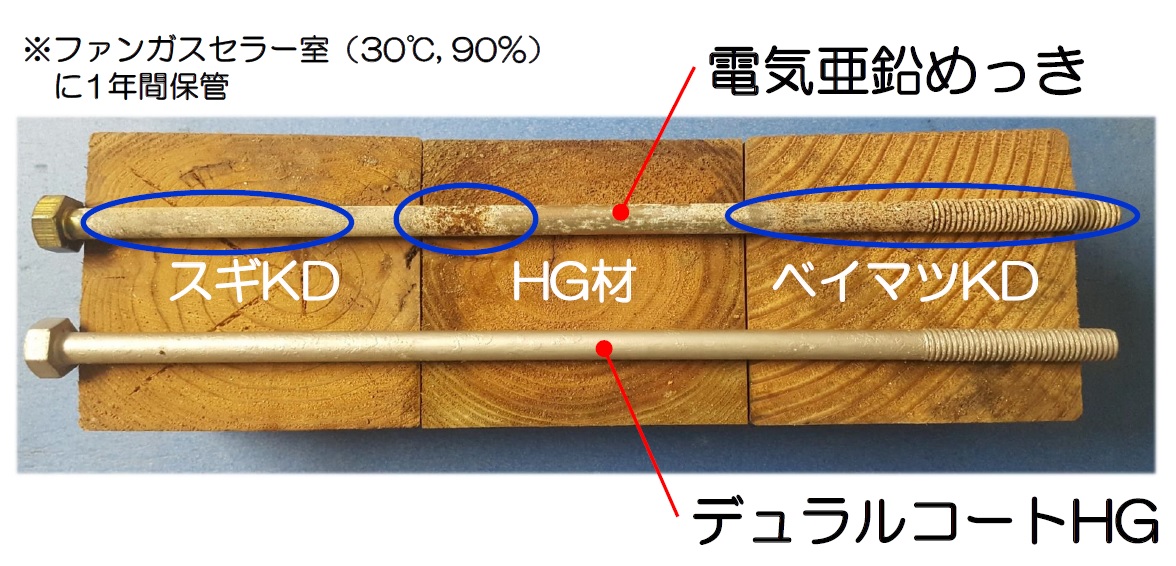 佐野市 team-K風間工務店